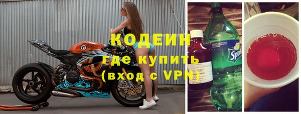 молекула духа Няндома