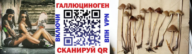 Галлюциногенные грибы мухоморы Серпухов